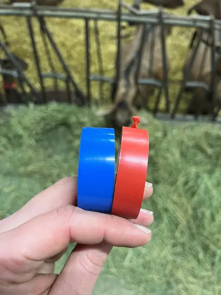Rubans adhésifs bleu et rouge