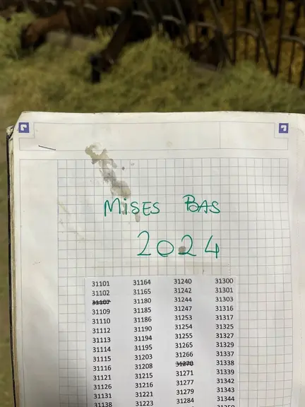 <em class="placeholder">Carnet de mise bas</em>