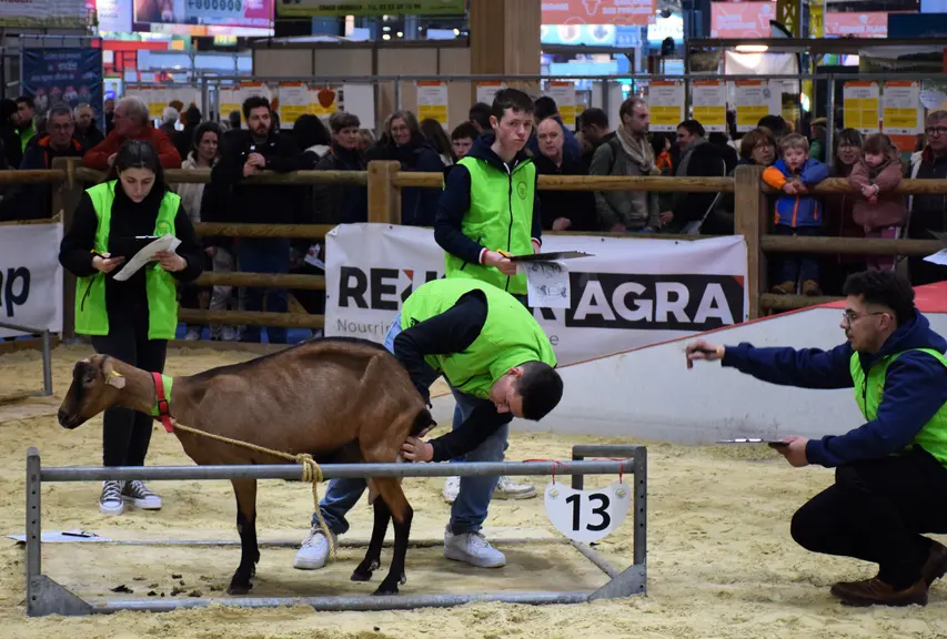 Concours de jugement des chèvres par les jeunes au salon de l'agriculture