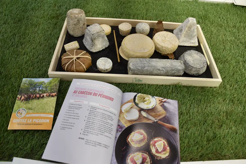 Un plateau garnie de fromages de chèvre