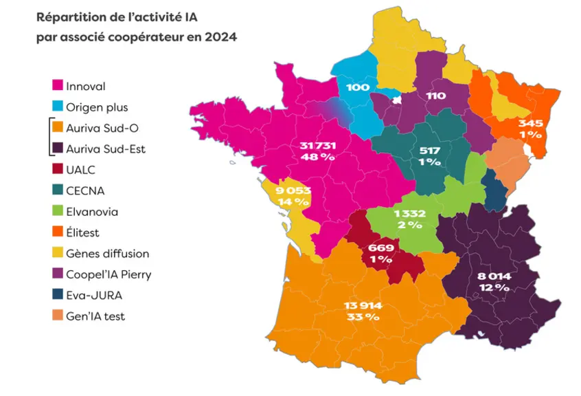 Mise en place des 65 845 inséminations caprines en 2024