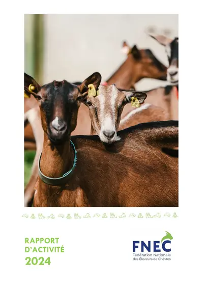 Rapport d'activité 2024 de la Fnec