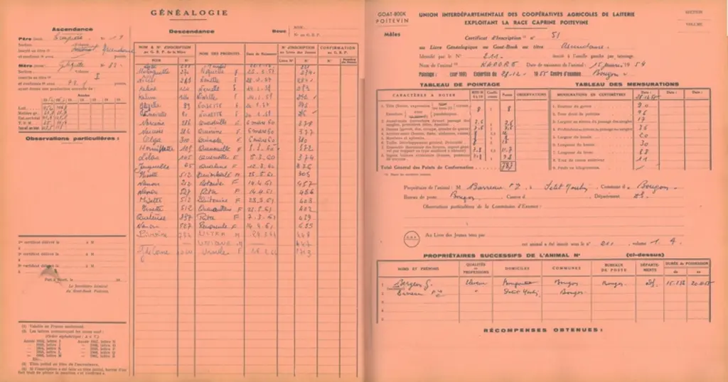Extrait du livre généalogique des chèvres poitevines (1955)