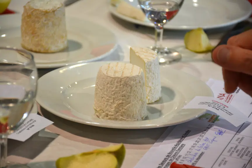 Fromage lors du Concours Saveurs Nouvelle-Aquitaine des fromages de chèvre fermiers et artisanaux