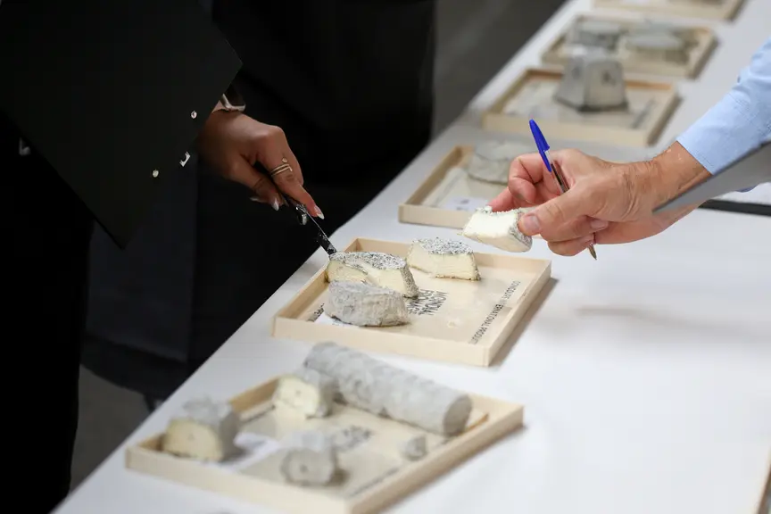 Fromages de chèvre en dégustation