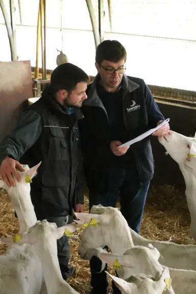 <em class="placeholder">Un technicien et un éleveur visite une chèvrerie </em>
