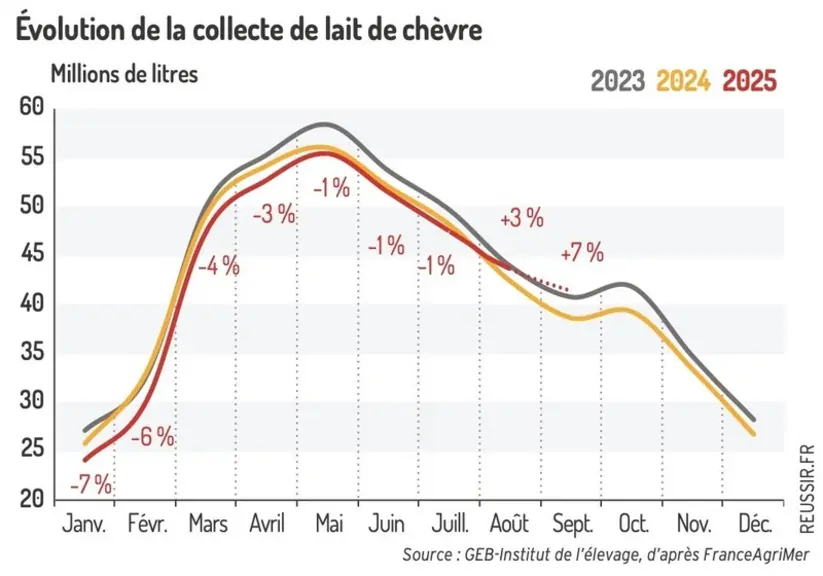 Collecte de lait de chèvre