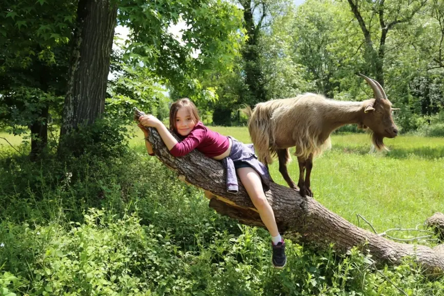 Chèvre et enfant dans une ferme d'animation