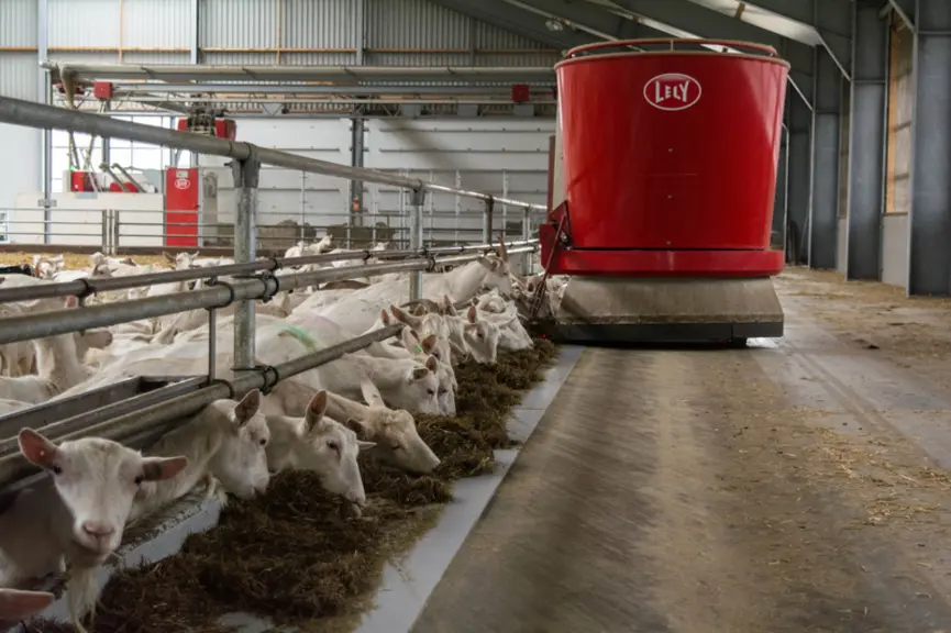 <em class="placeholder">robot d'alimentation et chèvres</em>