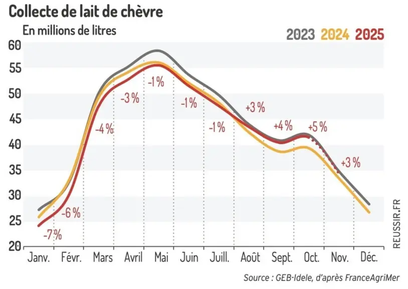 Collecte de lait de chèvre