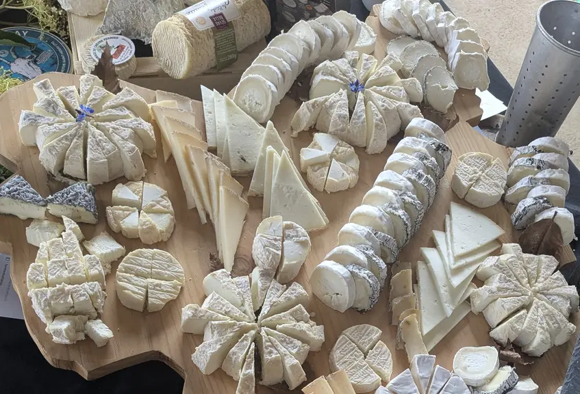 Plateau de fromages de chèvre