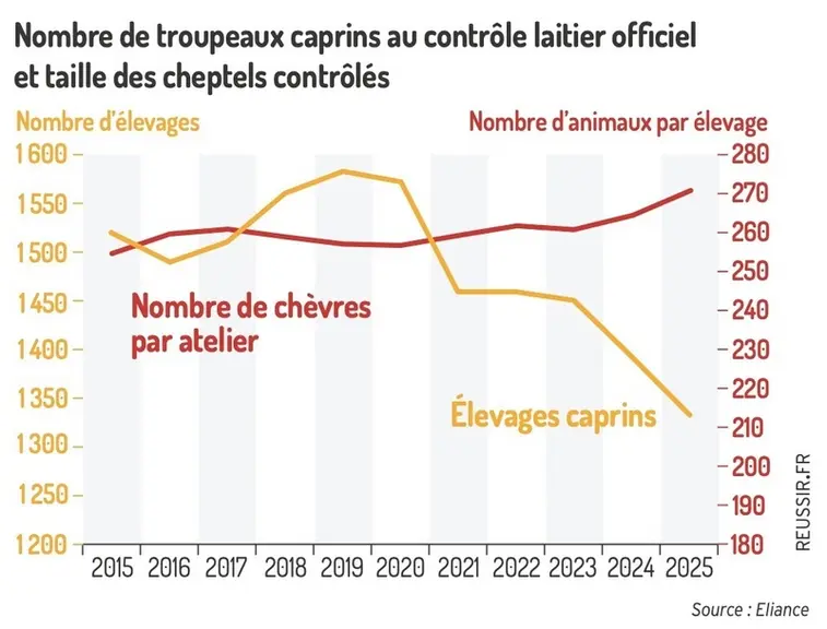 <em class="placeholder">Nombre de troupeaux caprins au contrôle laitier officiel et taille des cheptels contrôlés</em>