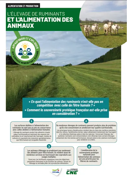 <em class="placeholder">Première page du document L’élevage de ruminants et l’alimentation humaine de la CNE</em>