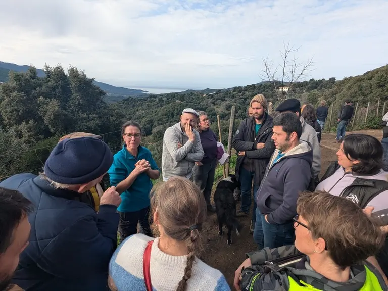Rencontre des associations de race sur le terrain en Corse