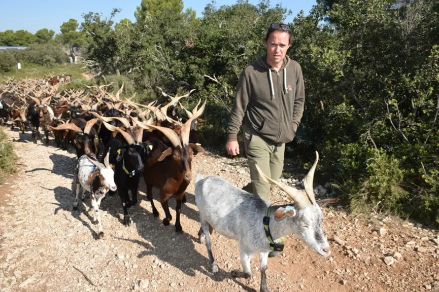 Au milieu de la garrigue provençale, Jean-Pierre Hueso produit des fromages tout en maintenant vivants des paysages ouverts qu