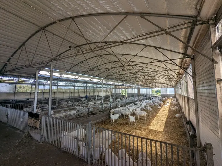 <em class="placeholder">Intérieur de la chèvrerie</em>