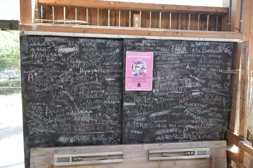 Tableau avec des idées de noms pour les chevrettes