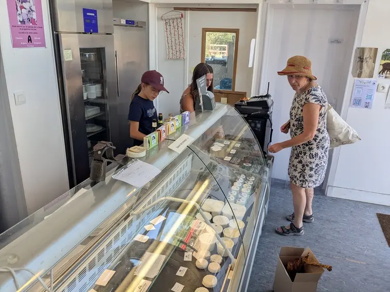 Vente des fromages de chèvre