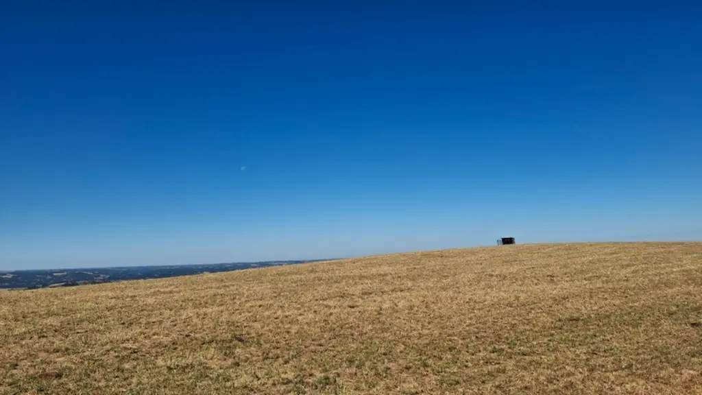 prairie grillée