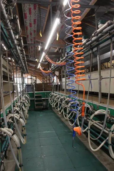 Salle de traite