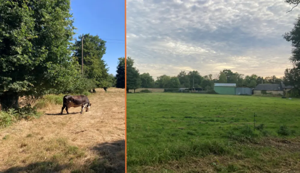 Prairie au 10 juillet et au 1er octobre