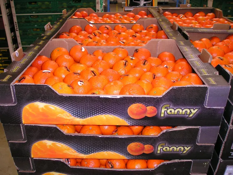 La marque Fanny s'est imposée sur le marché français des agrumes.