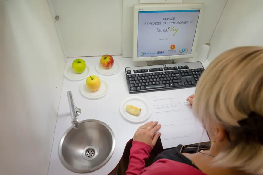 Dresser le profil sensoriel des pommes : une roue des arômes pour objectiver le goût