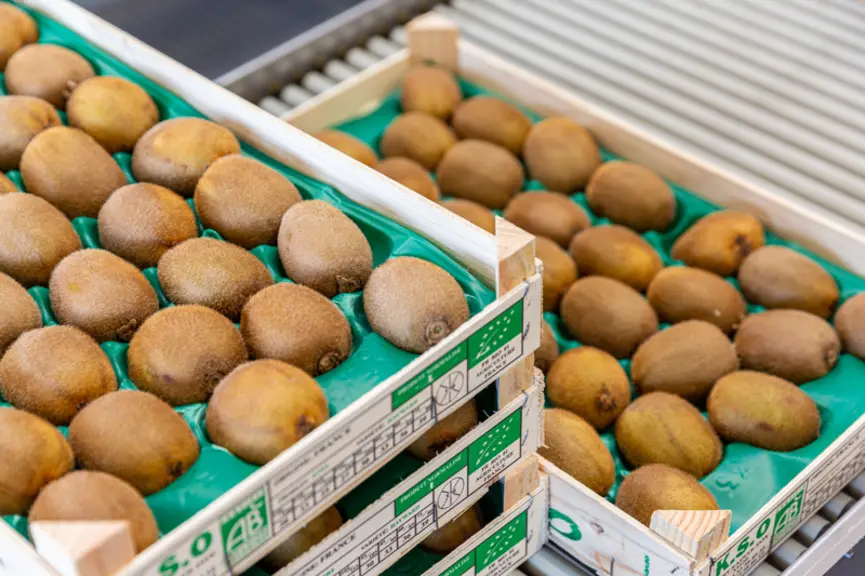 Offre et demande : le kiwi français dynamique