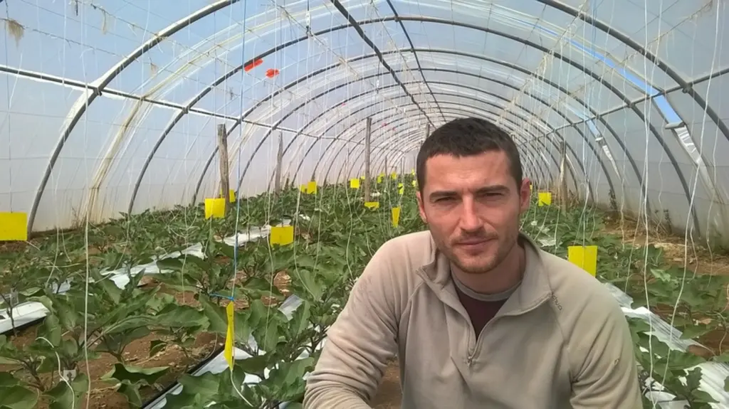 Bastien Bono, maraîcher à Saint-Martin de Crau qui participe au réseau Ferme Dephy depuis 2016 a mis en place une stratégie avec le souci pour mainten