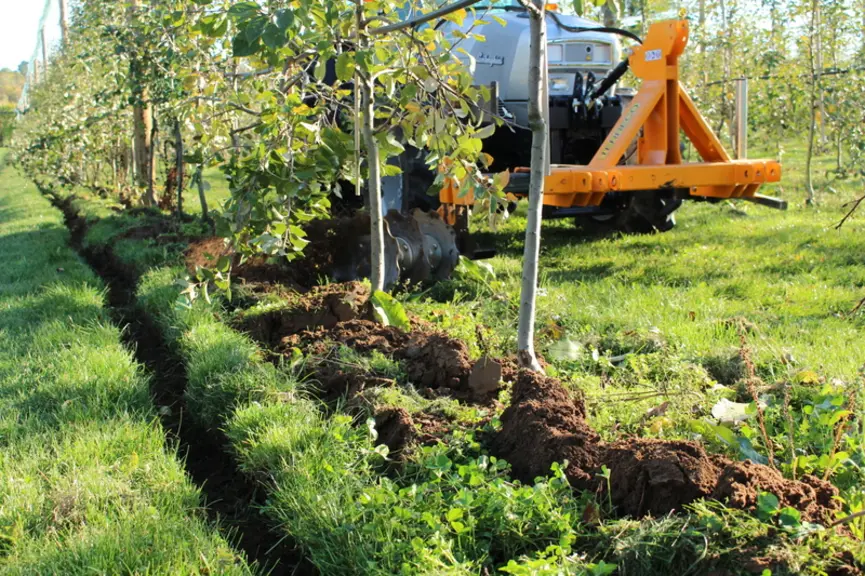 Le désherbage par travail mécanique du sol et la tonte des lignes de plantation sont les deux méthodes alternatives déjà mises en œuvre par les arbori