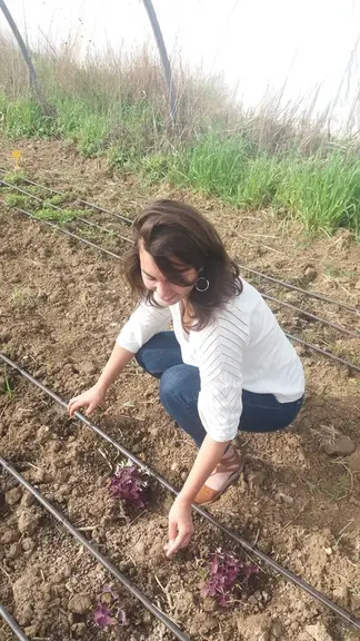 L’irrigation par goutte-à-goutte permet d’éviter d’affecter la qualité des fleurs.  © E.T.