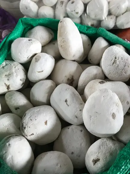 Technique de  lyophilisation avant l’heure, le « chuno » permet de conserver les légumes notamment les pommes de terre et même de rendre certains vari
