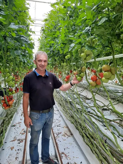 « Les variétés du type « Internal Red » et plus largement les variétés du segment « grappes gustatives » se caractérisent par une forte vigueur et une