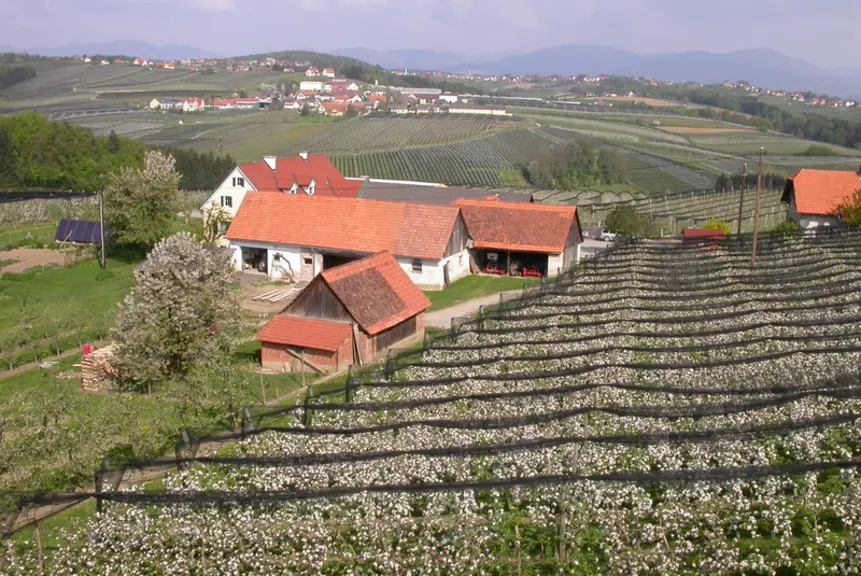 La Styrie est la première région de production de pomme d'Autriche.Les paysages et le fruit font aussi partie de son offre touristique avec  la «Route