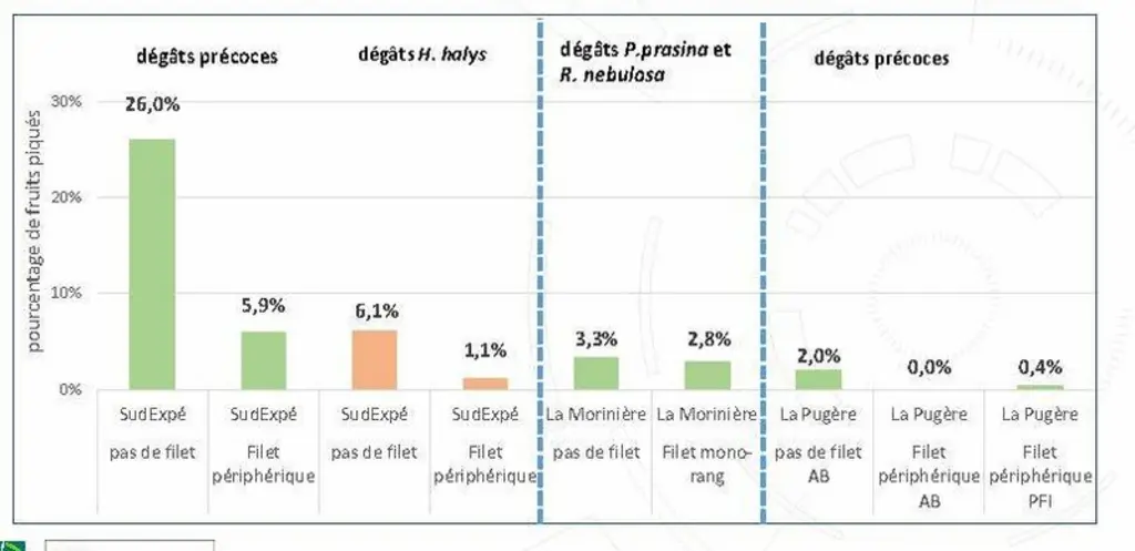 Résultats obtenus en parcelles de pommiers (en haut) et de poiriers (en bas). En vert, les dégâts attribués à de piqûres plus précoces ; en orange, le