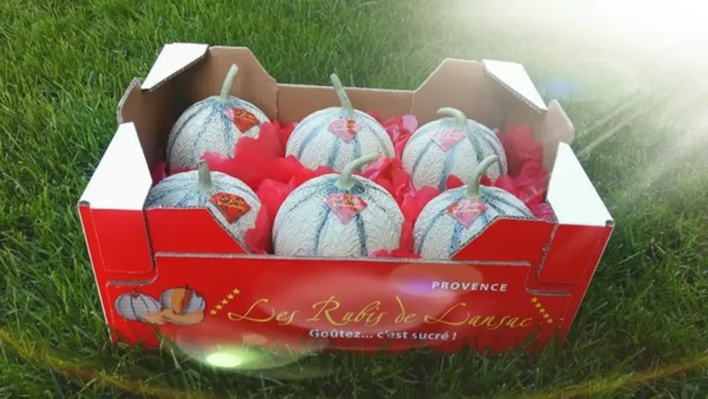 La notoriété des melons "Rubis de Lansac" produits sur Tarascon perdure depuis maintenant deux générations. © E.Delarue