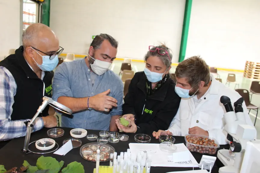 L'équipe de recherche du projet Replik qui a identifié Trissolcus mitsukur pour la première fois en France.  © RFL