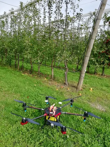 Les premiers essais de pulvérisation par drone montrent une hétérogénéité de l'application. © CTIFL