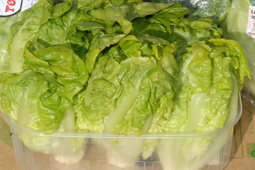 Les jeunes apprécient le croquant et le goût sucré de ces "salades portion".  © RFL