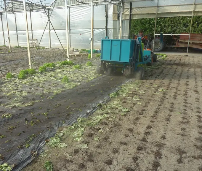 La machine de nettoyage des paillages salade est complètement opérationnelle et mise à disposition chez plusieurs producteurs pour la saison salade 20