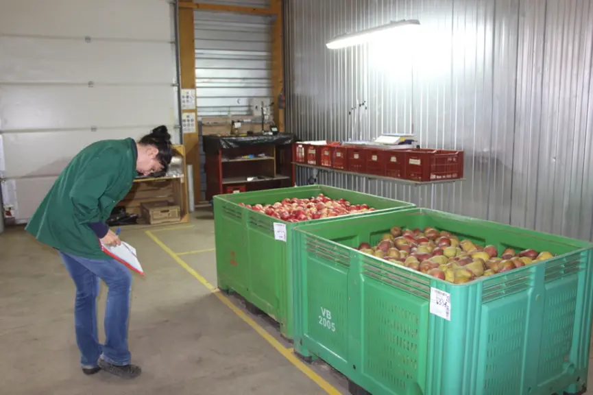 L’agréage des lots est essentiel pour déterminer les conditions de conservation optimale de chaque lot.