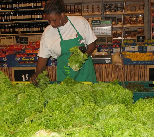 La fraîcheur et l’aspect représentent le premier critère d’achat des salades, quel que soit le type variétal.