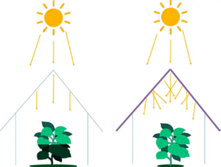 La lumière directe (à gauche) arrive en ligne droite du soleil, tandis que la lumière diffuse (à droite) est déviée par des molécules ou des matériaux