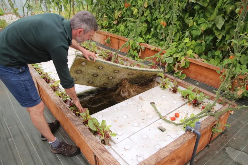 "Je commence à faire des légumes comme des haricots, des tomates cerises, quelques choux... Certains poussent plus ou moins bien."