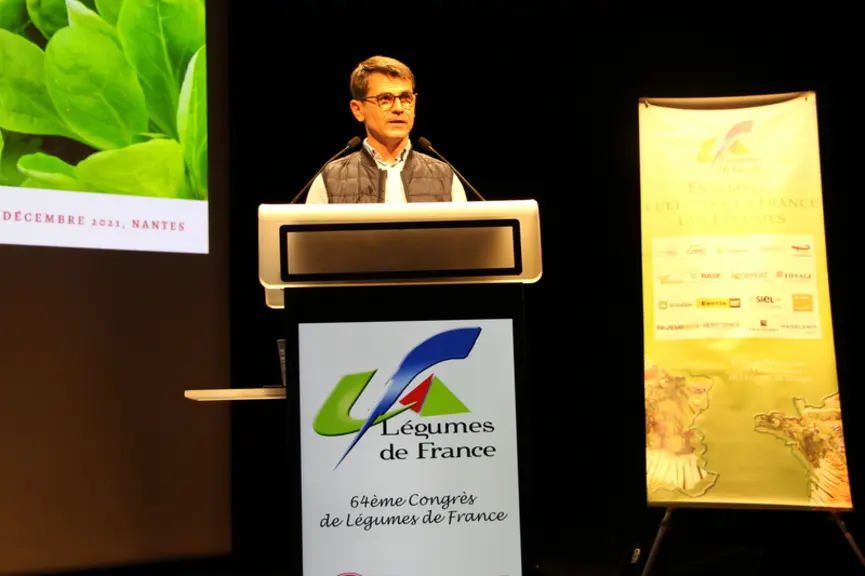 Selon Interfel, les achats de légumes ont augmenté de 4,5% en volume en 2020, mais diminué de 3% en 2021.