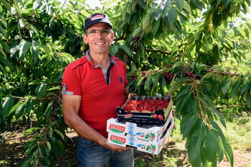 Patrick Reynard, président de la coopérative de producteurs de fruits Sicoly : « De par la diversité de nos productions, nous avons aussi une grande d