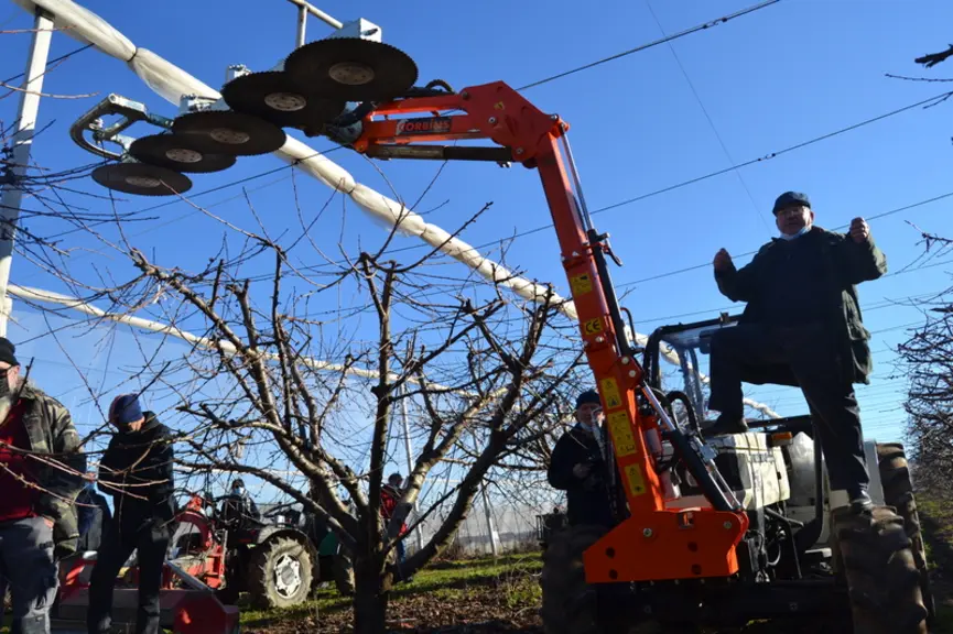 Durant deux ans, le lamier a été passé fin juin/début juillet dans les vergers pour rabattre la hauteur des arbres de moitié.