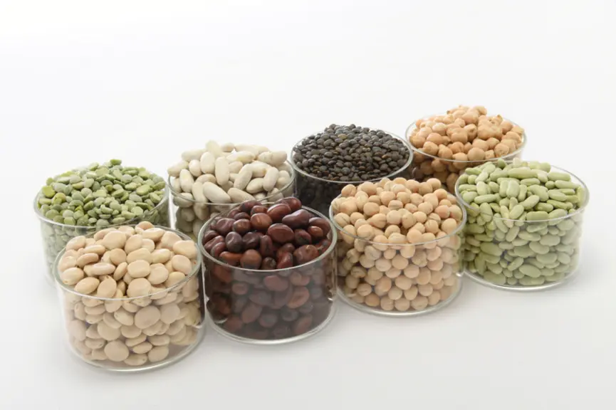 Si la plupart des opérateurs sont confiants dans le développement de la consommation des légumes secs bio, beaucoup redoutent une saturation du marché