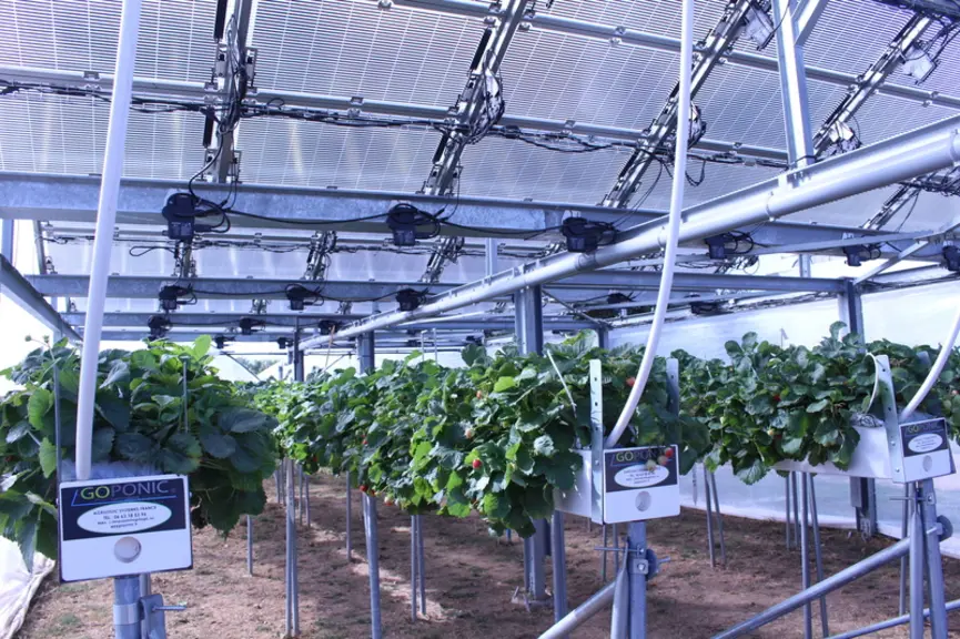Le système modulable de superposition des cellules photovoltaïques permet un effet d’ombrage de 15 à 70 %.