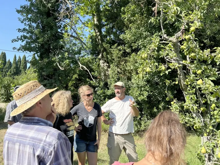 Une rencontre technique sur la lutte contre l’agrile du poirier était organisée dans les Bouches-du-Rhône en juin 2022 par le GRCeta de Basse Durance.